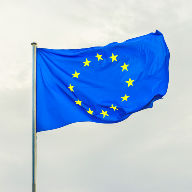 EU flag EU flag
